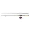 Abu Garcia Tormentor 2 Spinning Combo
