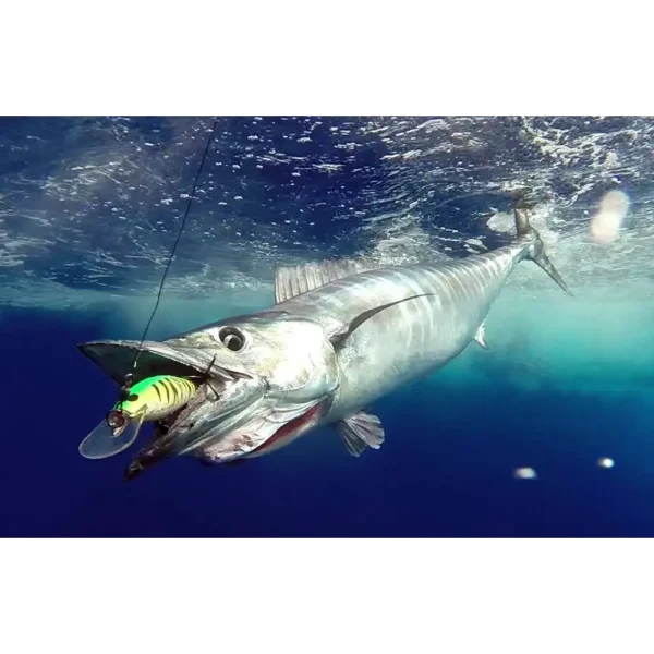 Wahoo-caught-on-trolling-with-a-Williamson-Speed-Pro-Deep-180-www.rodfishingclub.com-Rodrigues-Island-Mauritius-Indian-Ocean.webp Williamson Speed Pro Deep