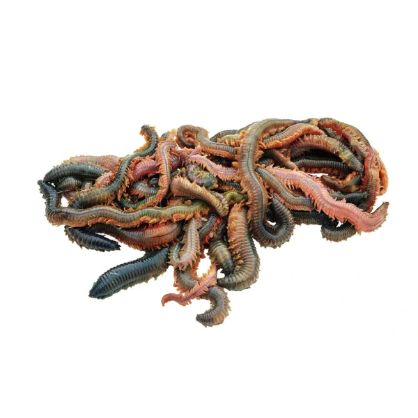 Steekzagers per 100gr